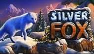 Игровой авомат Silver Fox в казино Вулкан